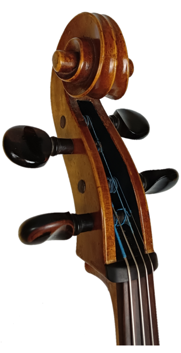 Cello Josef Lidl Scroll