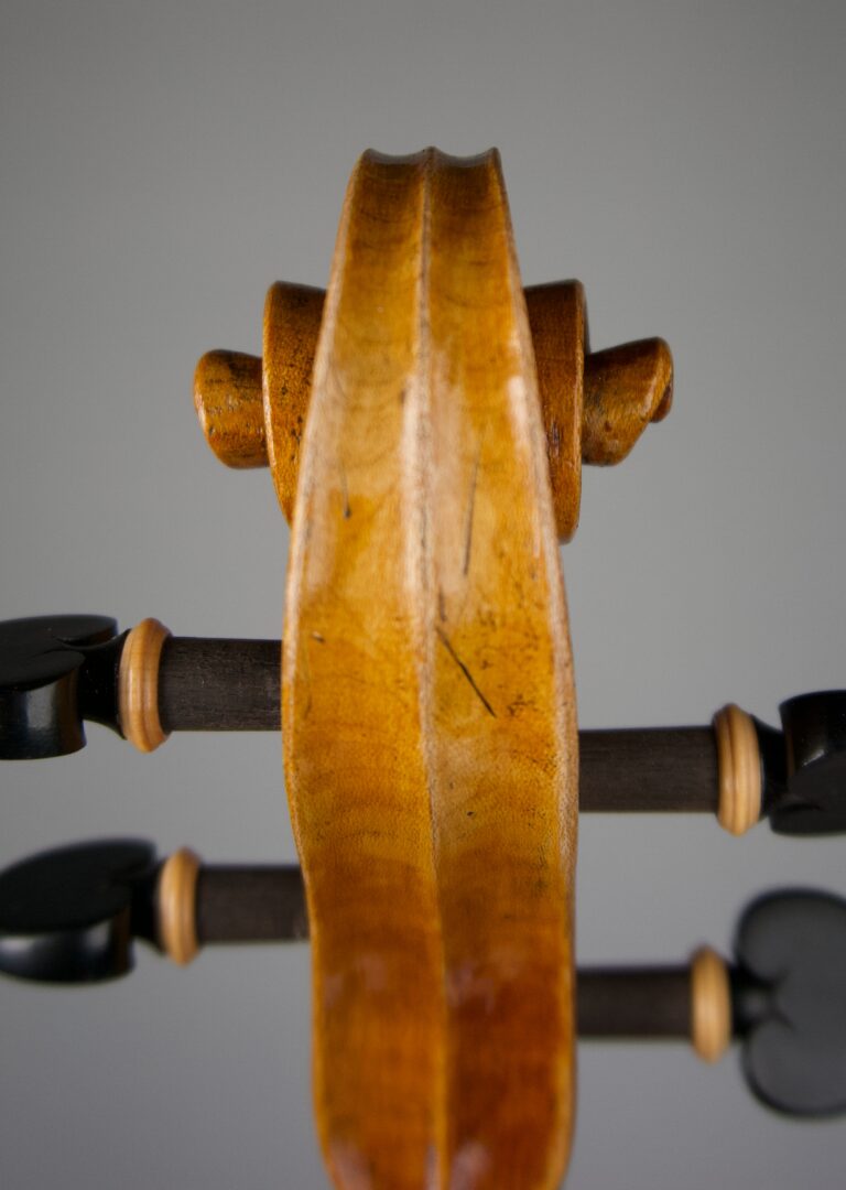 Scroll Small Violin Back View